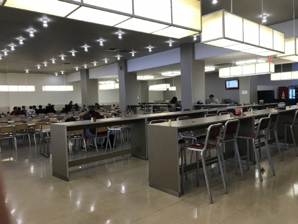 FORDHAM UNIVERSITY - NEW YORK